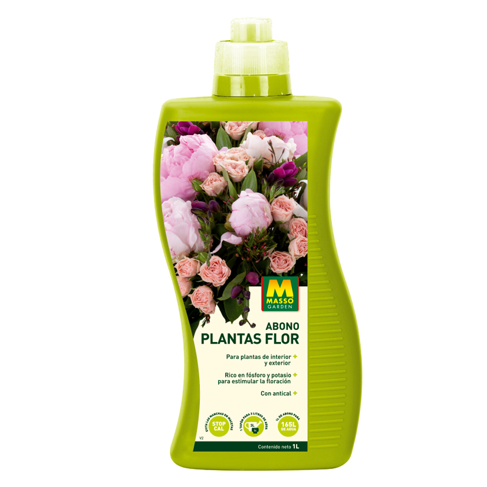Adob plantes flor-121570500