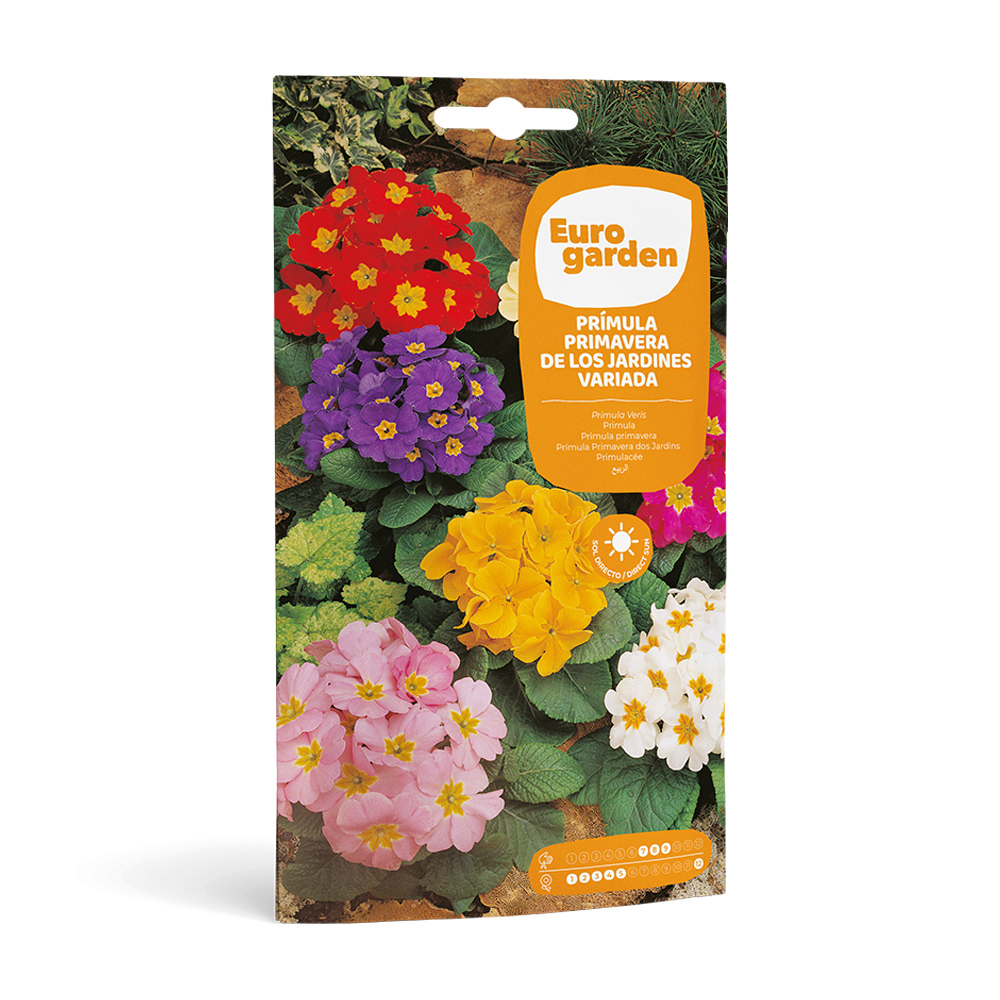 Prímula Primavera de los Jardines Variada 0,3 g Eurogarden -17436000
