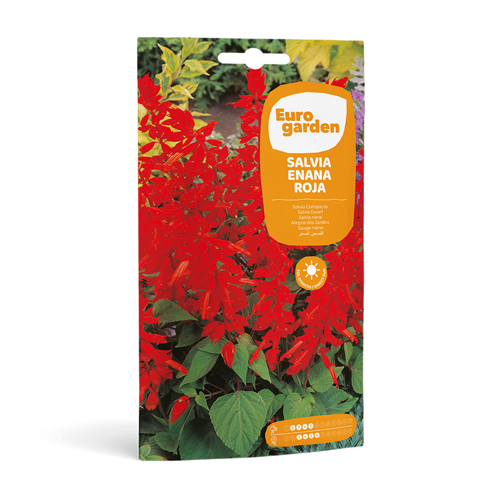 Salvia Enana Roja 0,6 g Eurogarden -17438000