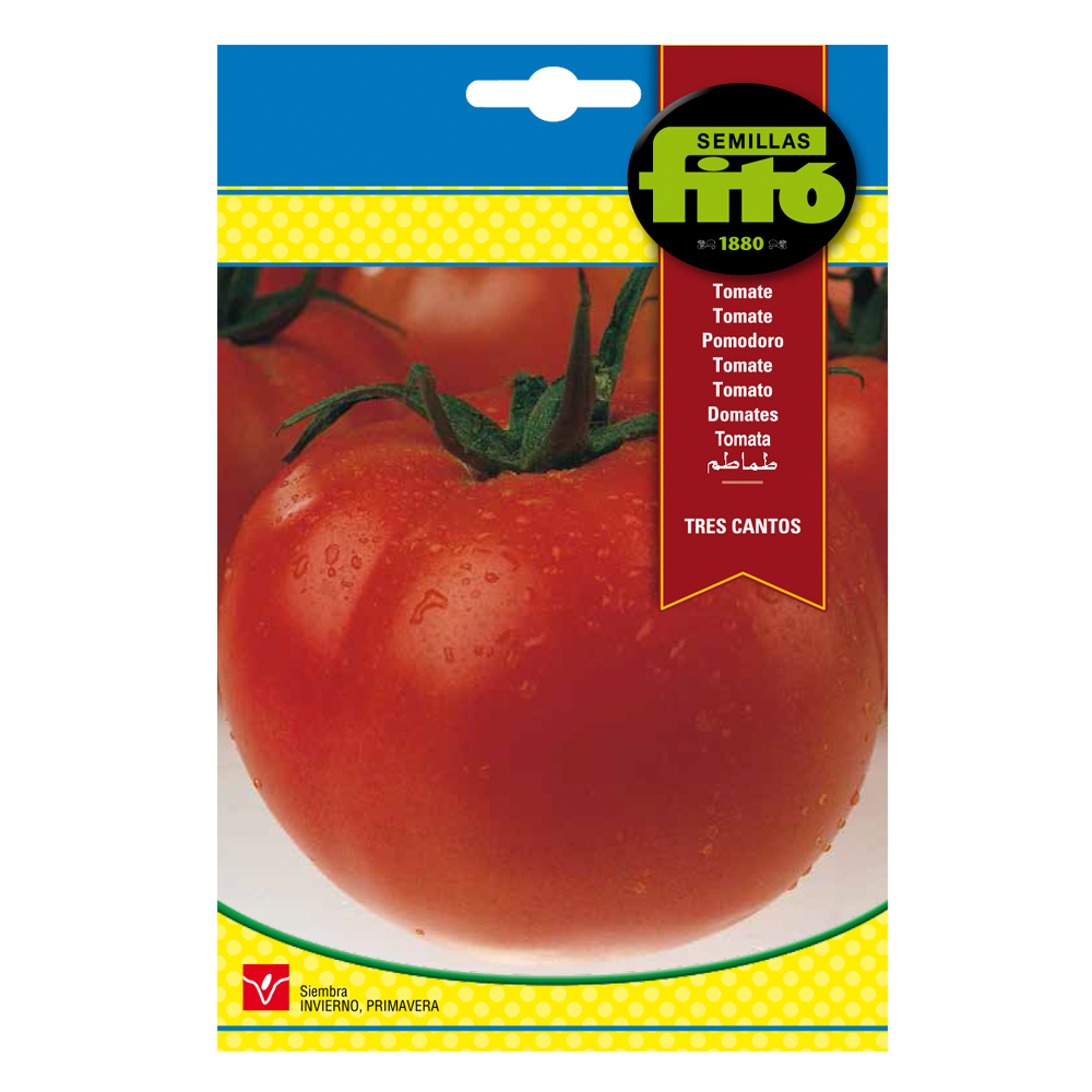 Tomate Tres Cantos Fitó-24497000