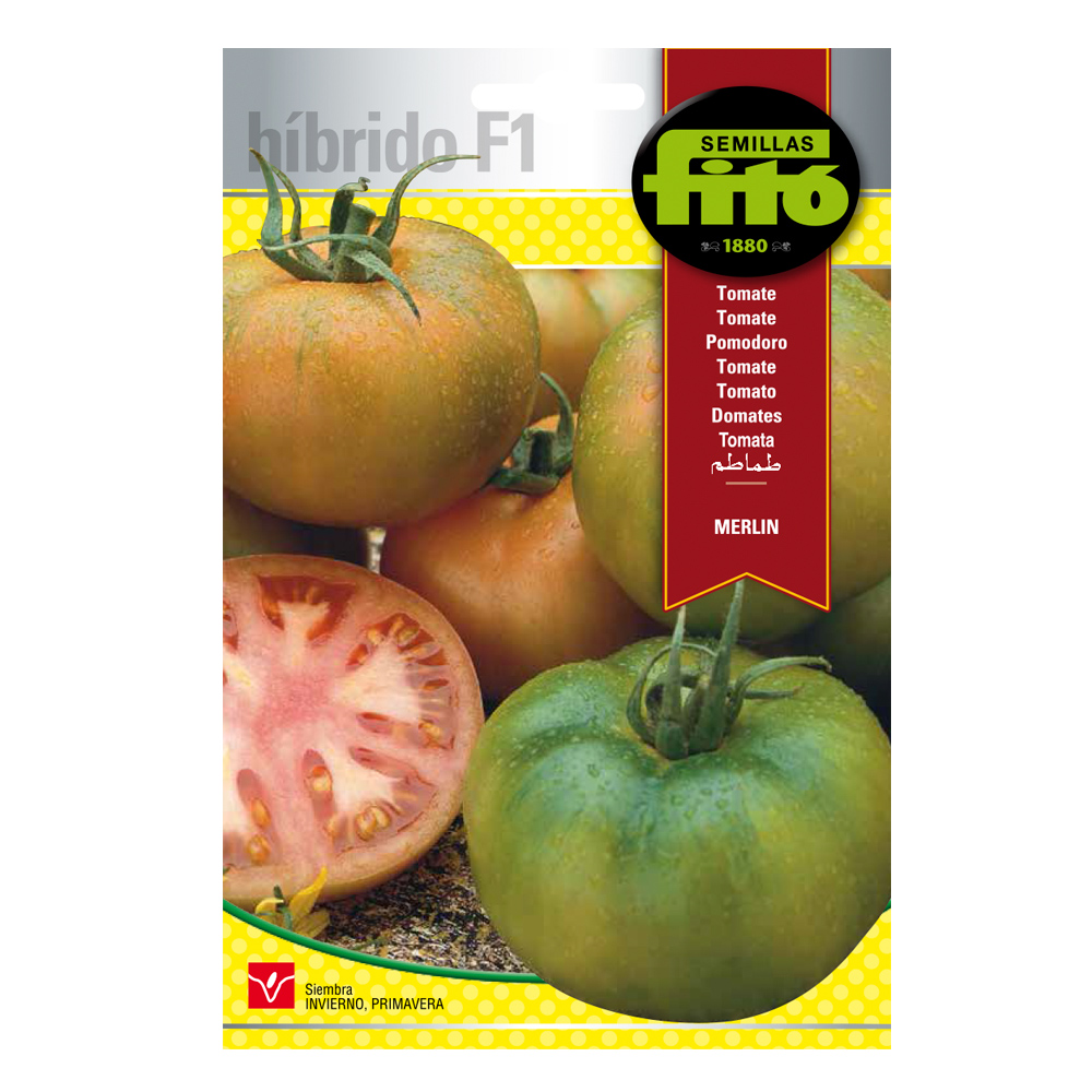 Tomate Merlín Híbrida Fitó-24541000