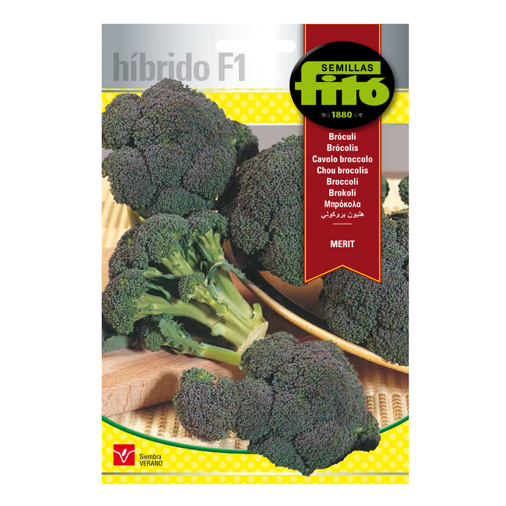 Brócoli Merit Híbrida Fitó-30082000