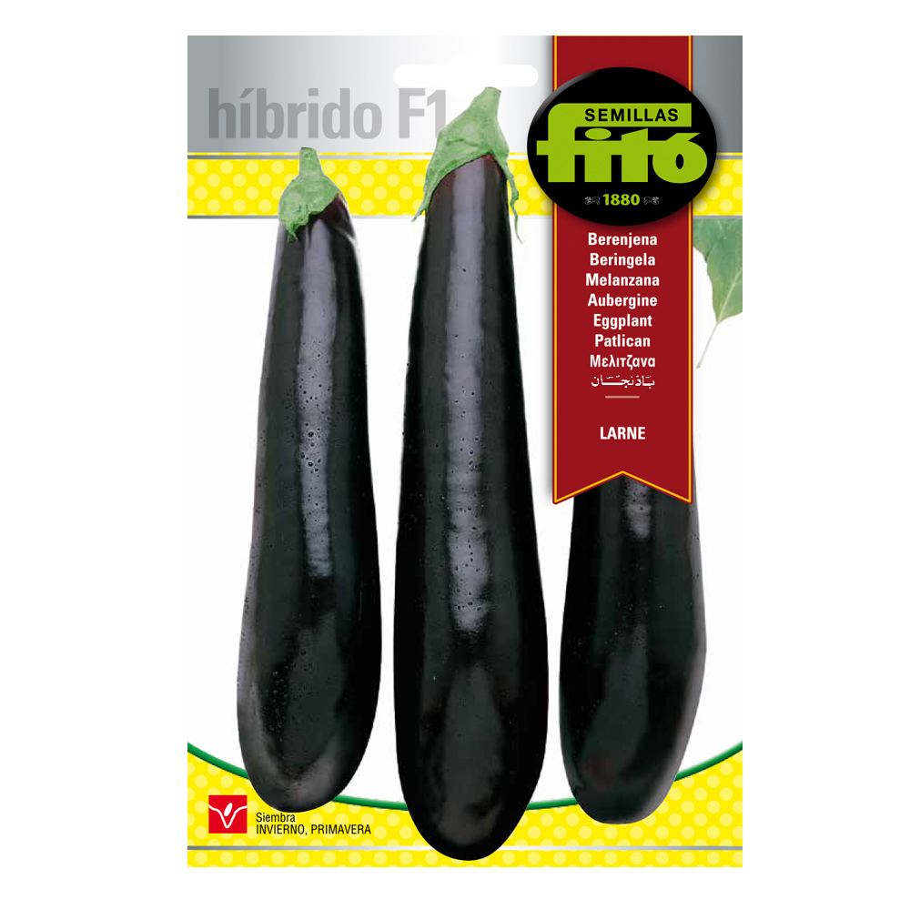 Albergínia Larne Híbrid Fitó-30085000