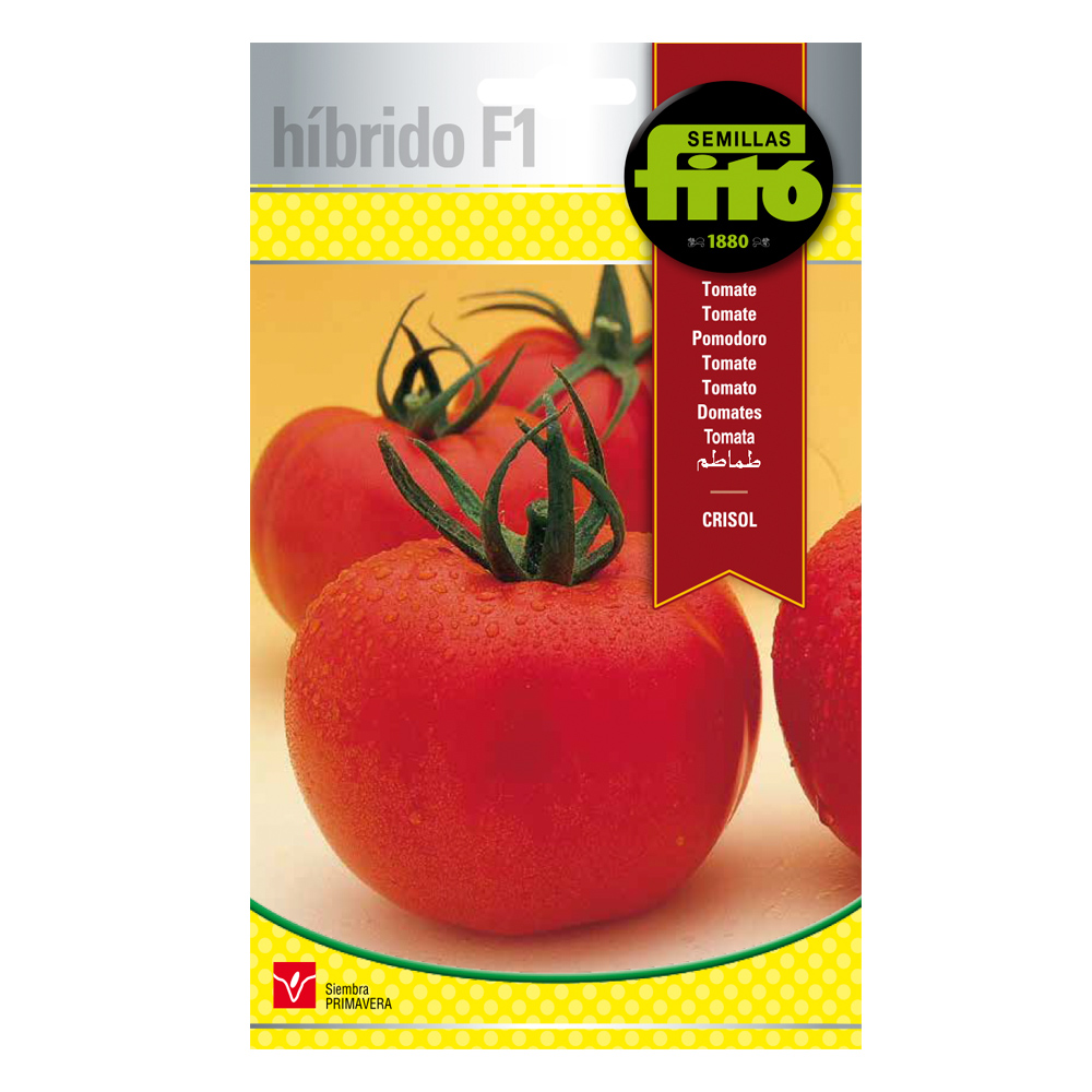 Tomate Crisol Híbrida Fitó-30089000