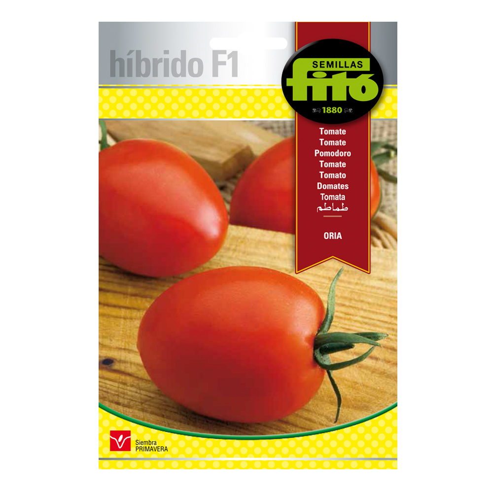 Tomate Oria Híbrida Fitó-30090000