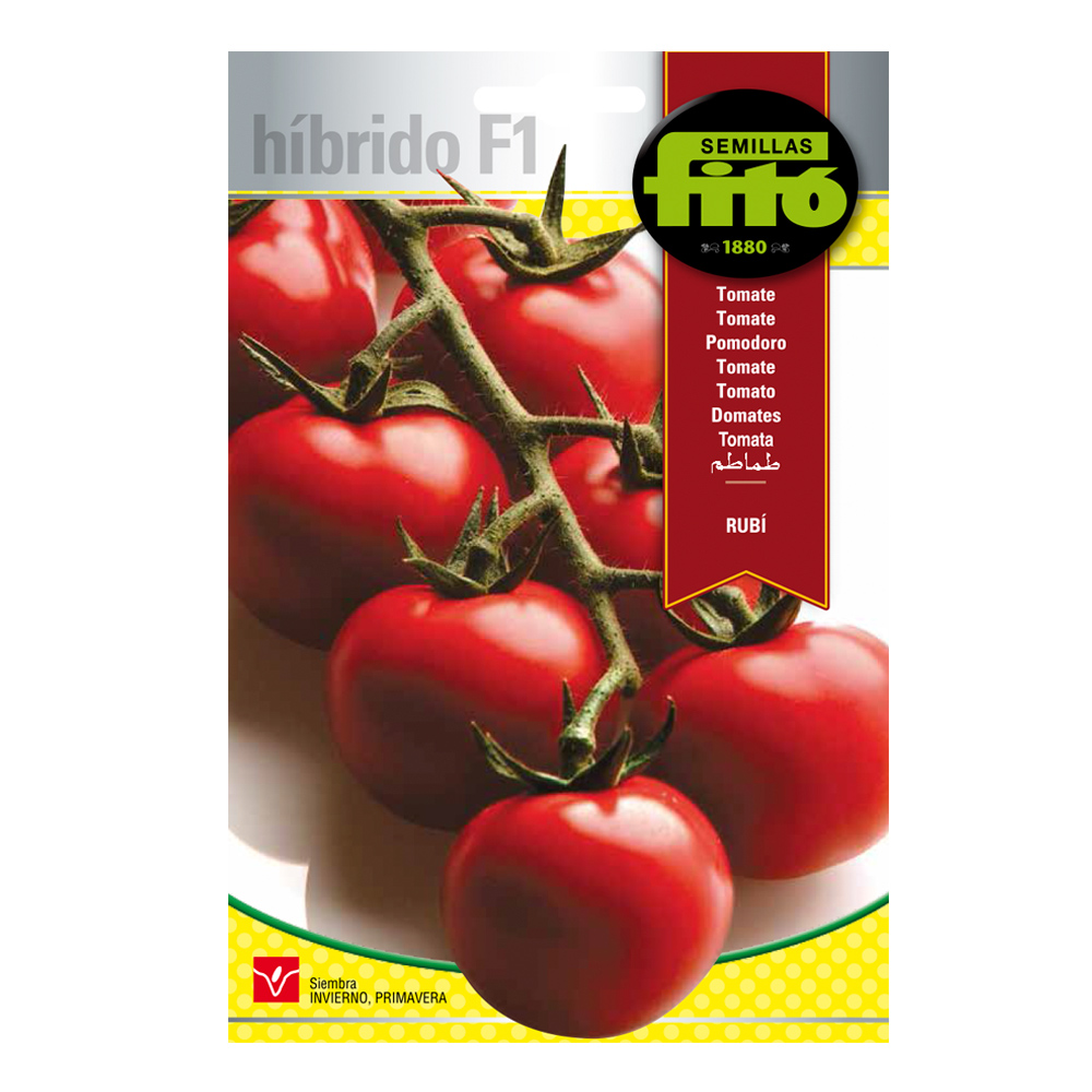 Tomato Rubí Híbrida Fitó-30091000