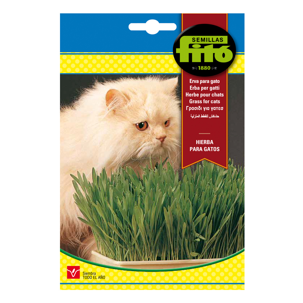 Herba per a gats Fitó-34999000