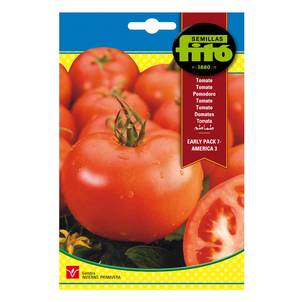 Tomate Early Pack 7-America 3-35120000