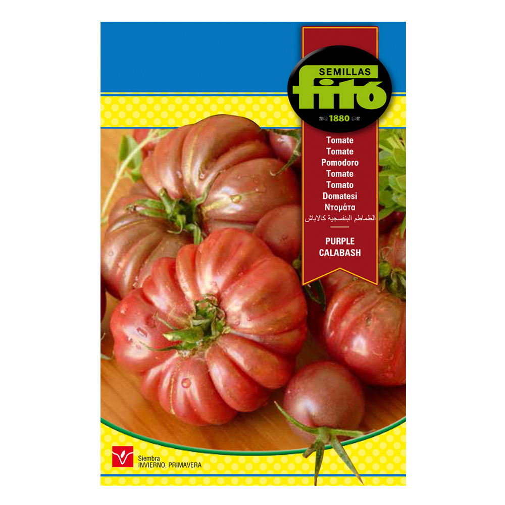 Tomate Purple Calabash-36733000