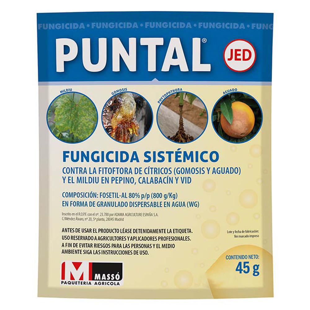 Puntal JED-369200750