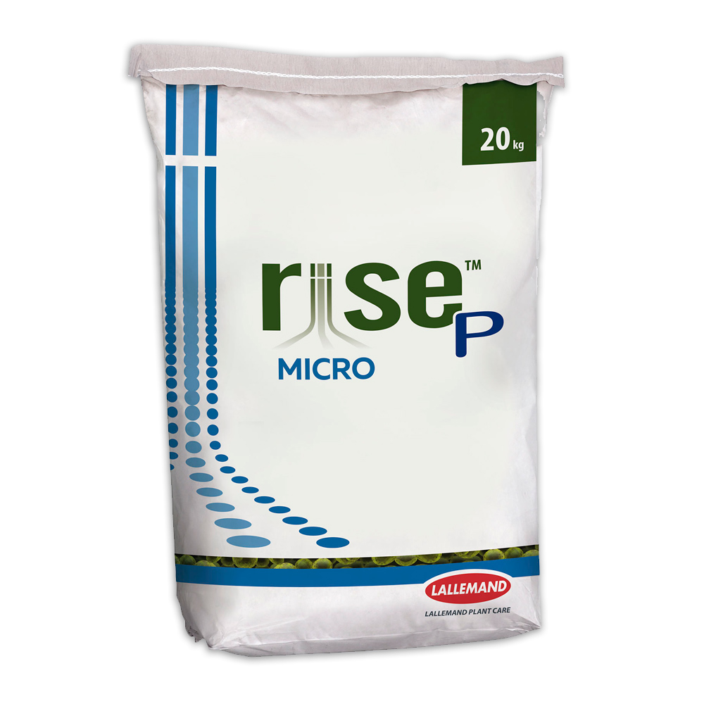 Rise P Micro de 20 kg-37076020
