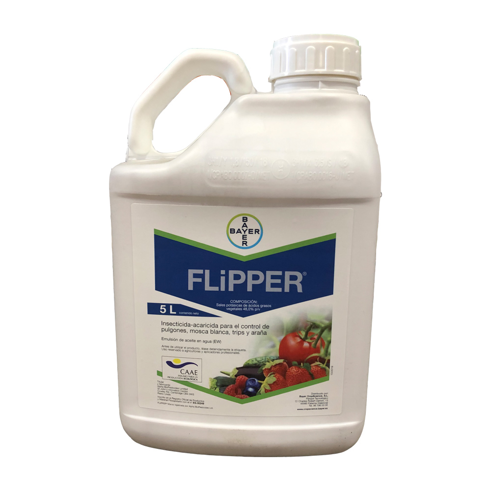 Flipper 5 L-37632051