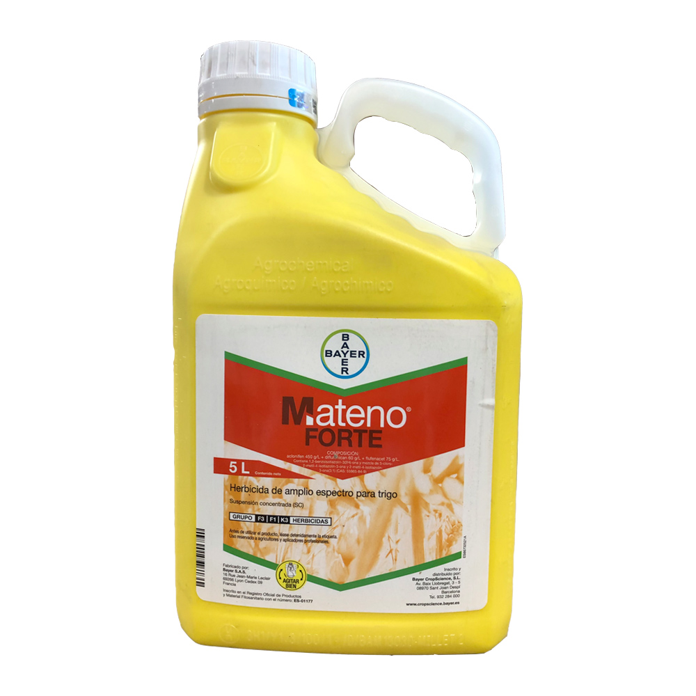 Mateno Forte 5 L-37676051