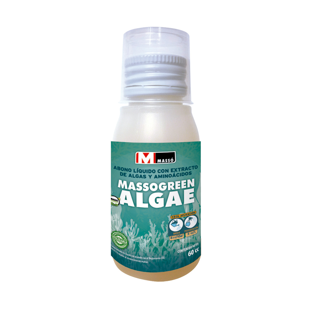 Massogreen Algae-380231310